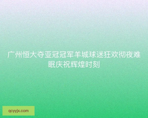广州恒大夺亚冠冠军羊城球迷狂欢彻夜难眠庆祝辉煌时刻